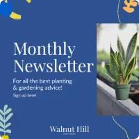 Monthly Newsletter