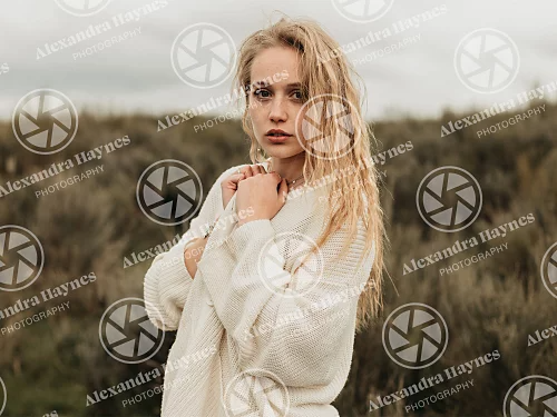 워터마크 로고로 덮인 이미지