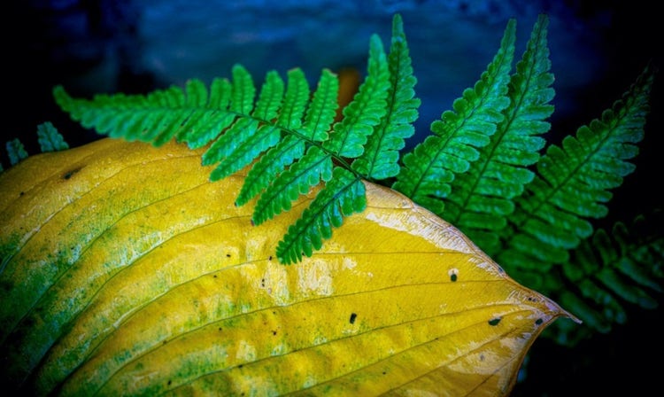 احصل على الإلهام وكن مصورًا فوتوغرافيًا أفضل مع {{lightroom}} Acadmy., Picture