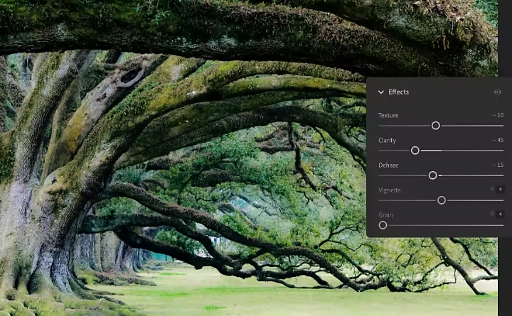 صورة لشجرة بتأثير Orton.
