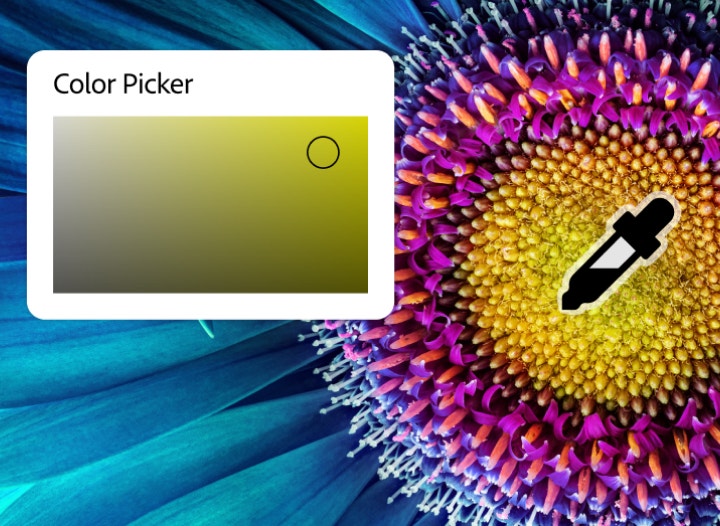 صورة مقربة لزهرة نابضة بالألوان ورمز القطارة في واجهة مستخدم أداة Color Picker (أختيار الألوان) في Photoshop حيث يتم اختيار لون.