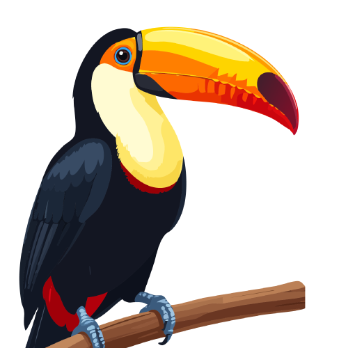 black toucan on a branch