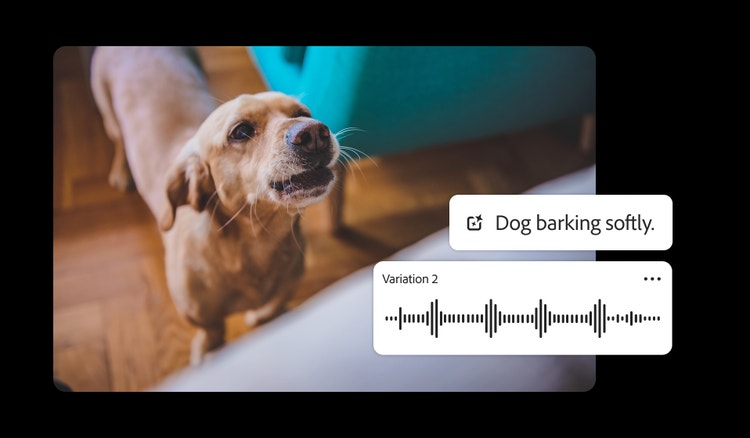 Imagen de un perrito ladrando, con la interfaz del generador de sonidos con IA superpuesta, que ilustra la creación de efectos de sonido de ladridos de perro realistas en Firefly