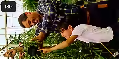 Usa las herramientas Transformar y Transformación libre en Photoshop para rotar partes específicas de una imagen