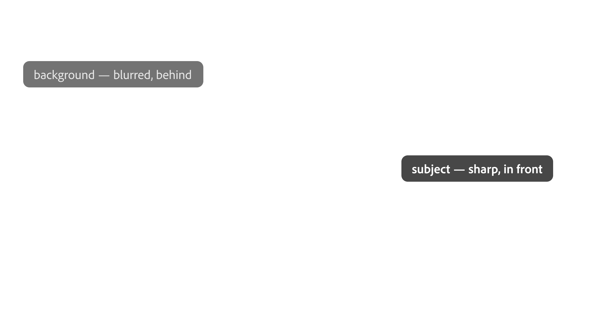 background — blurred, behind; subject — sharp, in front
