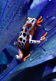 Redaguokite vaizdus naudodami tekstines komandas