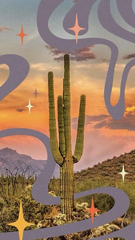 WHIMSICAL DESERT, Picture