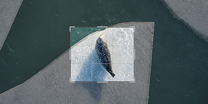 Zugeschnittene Bilder verbessern.