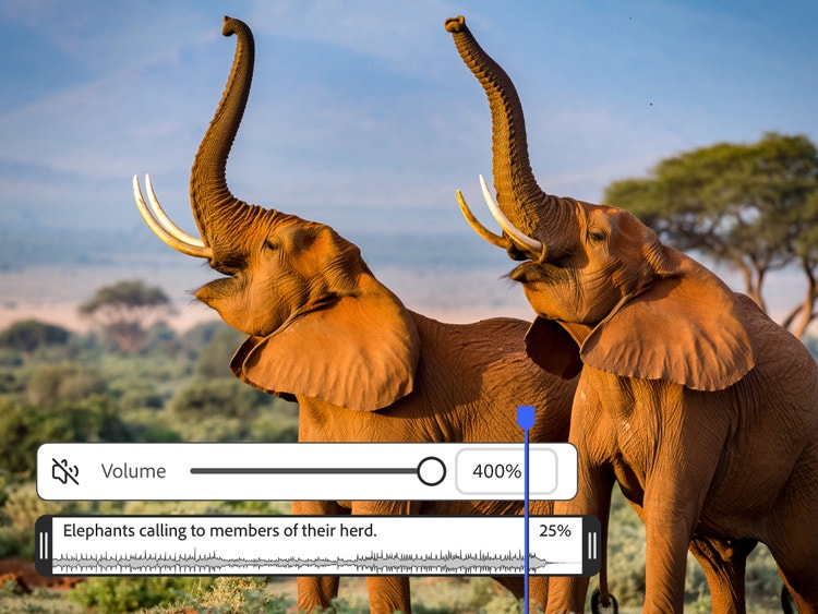 Two elephants with mouths open and an overlay of the volume control slider and the prompt “Elephants calling to members of their herd.”