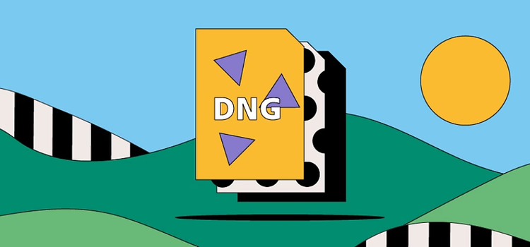 DNG marquee image