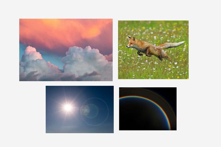 1. Choisissez des photos., image