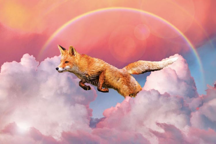 Combiner des photos, image