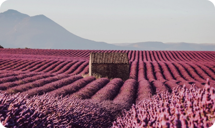 Notiek attēla ievietošana…