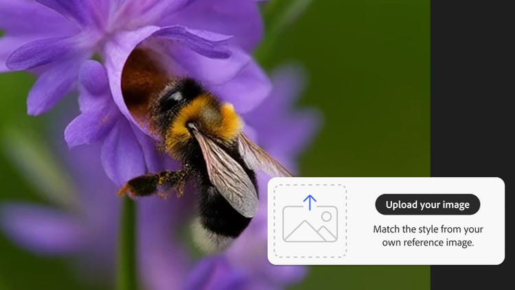Foto makro lebah di atas bunga ungu digunakan untuk menjana video dengan antara muka UI rujukan gaya