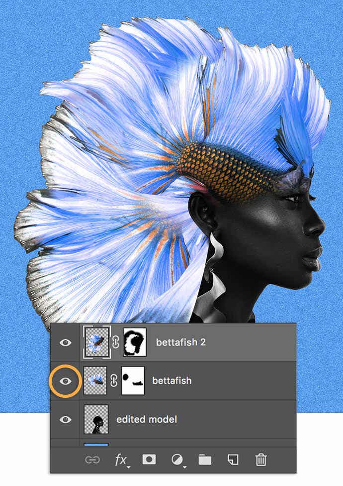 Foto komposit ikan laga dan kepala individu. Sirip dan badan ikan laga telah bertukar menjadi rambut pada bahagian kepala individu tersebut.