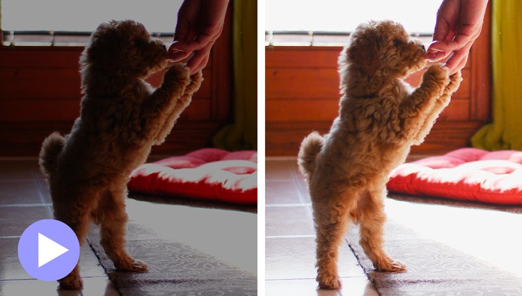 Video over aanpassen van schaduwen en hooglichten afspelen