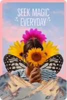 Seek Magic Everyday