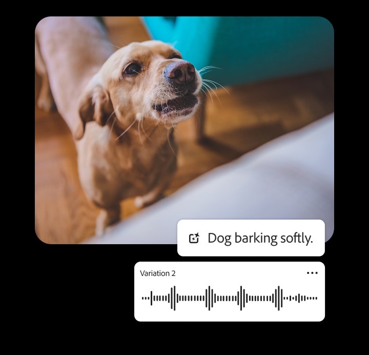 Een hondje dat blaft waarover de interface van de AI-geluidsgenerator wordt weergegeven om te demonstreren hoe levensechte geluidseffecten voor hondengeblaf worden gegenereerd in Firefly.