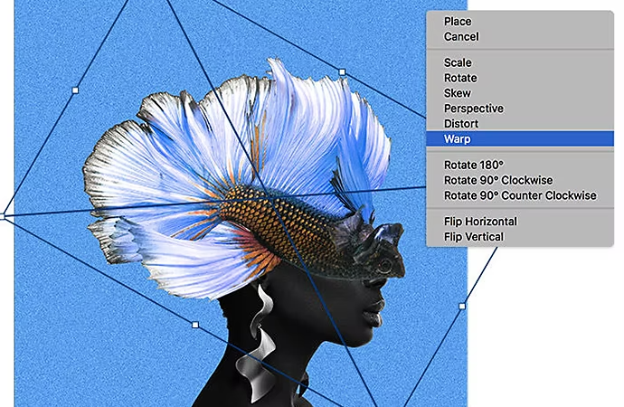 Bilde av en kampfisk lagt over et bilde av en kvinne i Fordrei-grensesnittet i Adobe Photoshop.