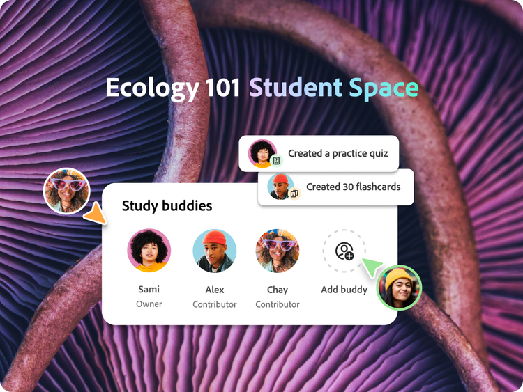 The underside of purple mushroom caps. Three participants in ecology 101 study space and fourth getting added. Two students add resources to the space.