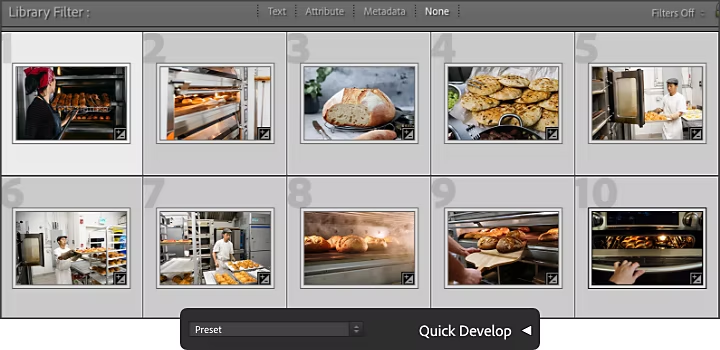 Apply During Import panel superimposed on three different photos.