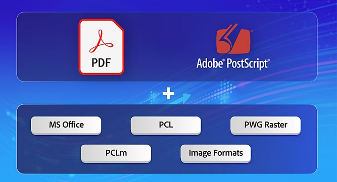 PDF
