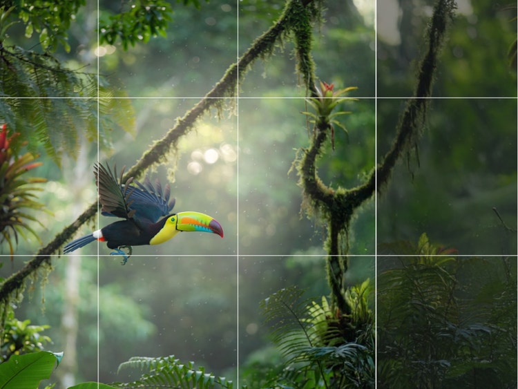 An image of a toucan flying through the jungle is overlaid with a grid indicating it will be resized in Firefly.