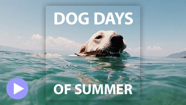 Play free frames with motion titles video