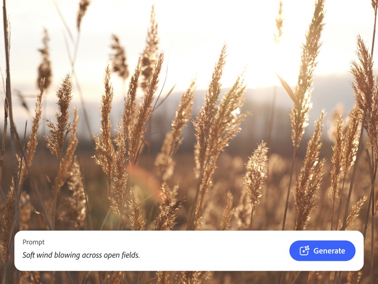 Isang close up na image ng grain sa harap ng malayong bulubundukin at text prompt na "banayad na hanging humihihip sa bukirin" na ginamit para mag-generate ng tugmang sound effects ng hangin gamit ang Firefly AI.
