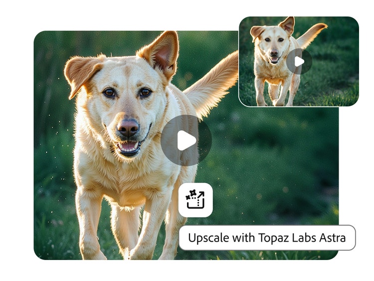 Fotograma de video de un perro amarillo sonriente, con las orejas caídas, corriendo hacia la cámara, con el texto “Aumento de escala con Topaz Labs Astra” y el ícono de Aumento de escala