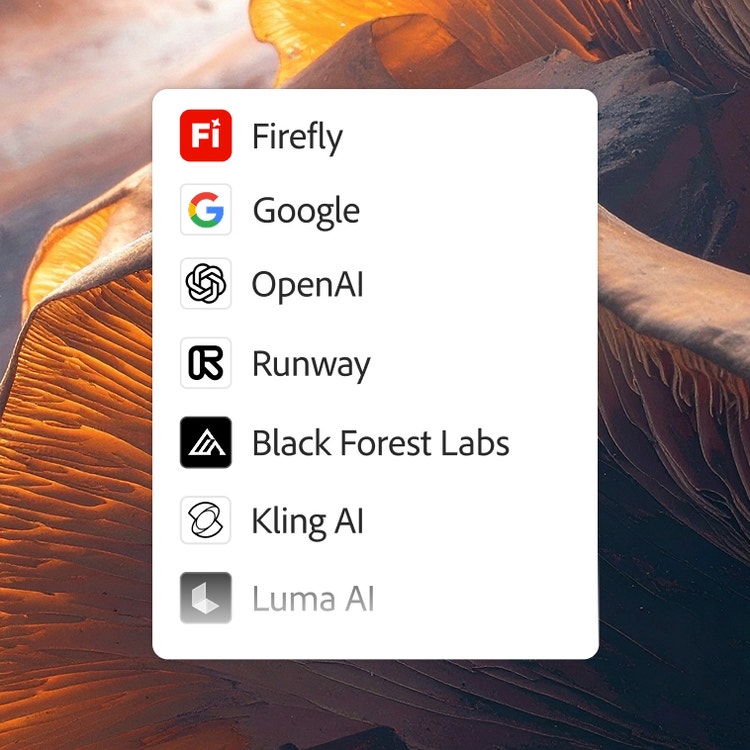 Una lista parcial de los modelos de IA disponibles en Firefly, que incluye Firefly, Google, OpenAI, Runway, Black Forest Labs, Luma AI e Ideogram.