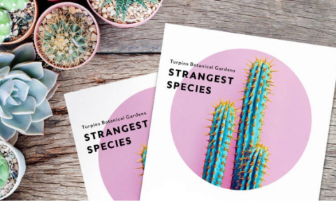 Crea un folleto que destaque con herramientas y plantillas de diseño., Picture