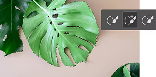 Picture 1565936409, Picture