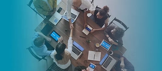 Case Study: How Enlighten delivered client education at scale
