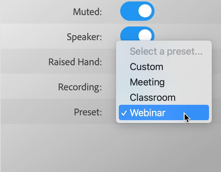 Presets to quickly adjust settings