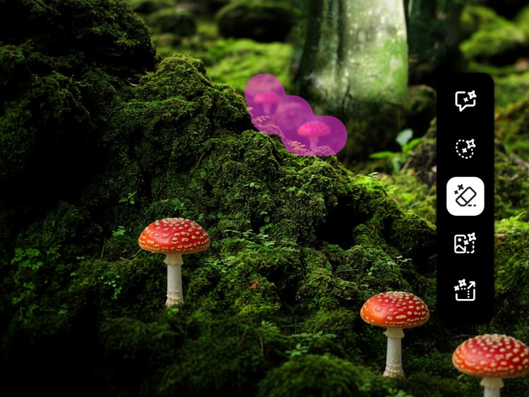 A moss-covered forest floor dotted with red and white mushrooms, with additional natural elements highlighted in pink near the base of a tree.