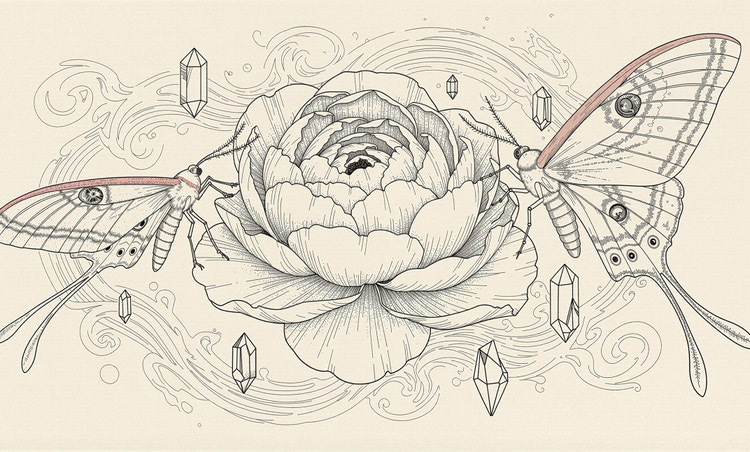 A delicate black line-art illustration of two large moths facing a blooming peony, surrounded by swirling decorative lines and crystal shapes on a textured cream background.
