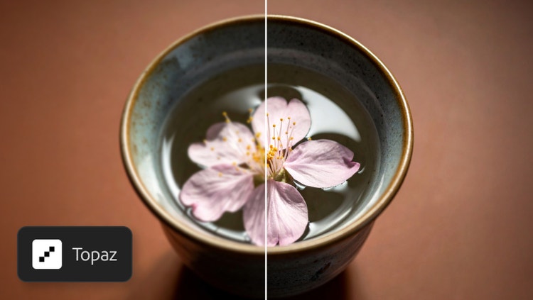 A split image of a cherry blossom in a bowl. The right side of the image is sharper thanks to Topaz Astra video upscaler.