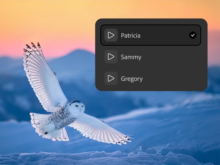 Firefly interface displaying a snowy owl flying over a winter landscape alongside a voice selection panel with multiple AI voice options. The workspace illustrates choosing different voices to convert text into realistic, expressive speech with ElevenLabs AI.