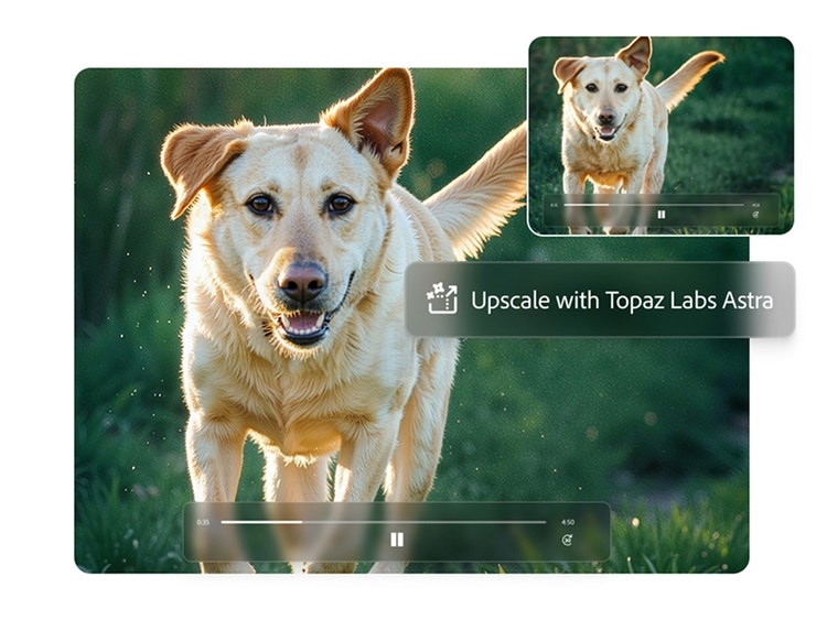 A video still of a smiling yellow dog with floppy ears running toward the camera with the text “Upscale with Topaz Labs Astra” and the Upscale icon.