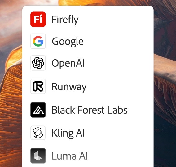 A partial list of the AI models available in Firefly, including Firefly, Google, OpenAI, Runway, Black Forest Labs, Luma AI, and Ideogram.