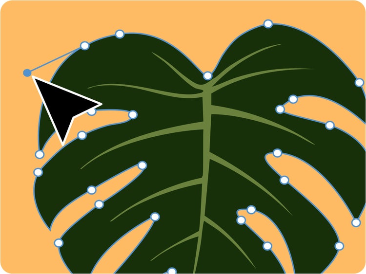 Vectorize Image Adobe Illustrator