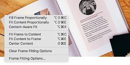 The Adobe InDesign framing interface