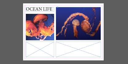 Images being layed out side by side in InDesign