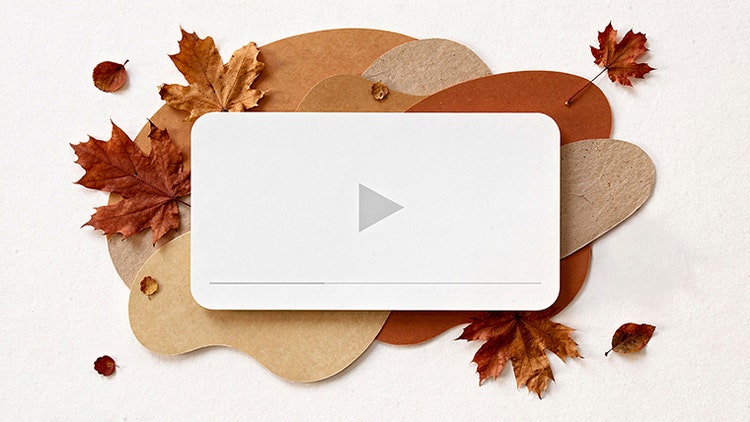 https://main--da-cc--adobecom.aem.page/cc-shared/assets/video/product/elements/premiere-elements/media_1e555602f1c3b07c3db58b5b746a50b491e56fe4d.mp4#_hoverplay | Editorial card, Picture