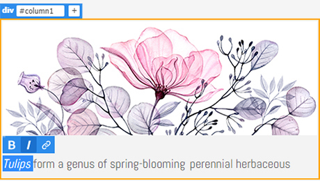 an example of live view editing a phrase in progress on an image with flowers and text below, reading 'Tulips form a genus of spring-blooming herbaceous"