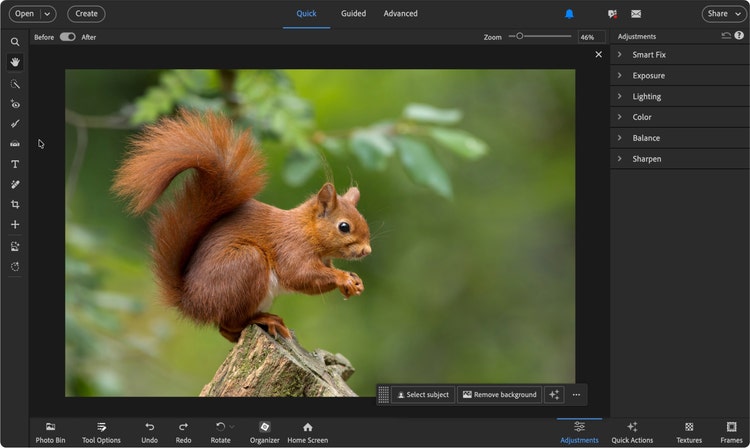 Photo opened in the editor. Full canvas, no tools selected.