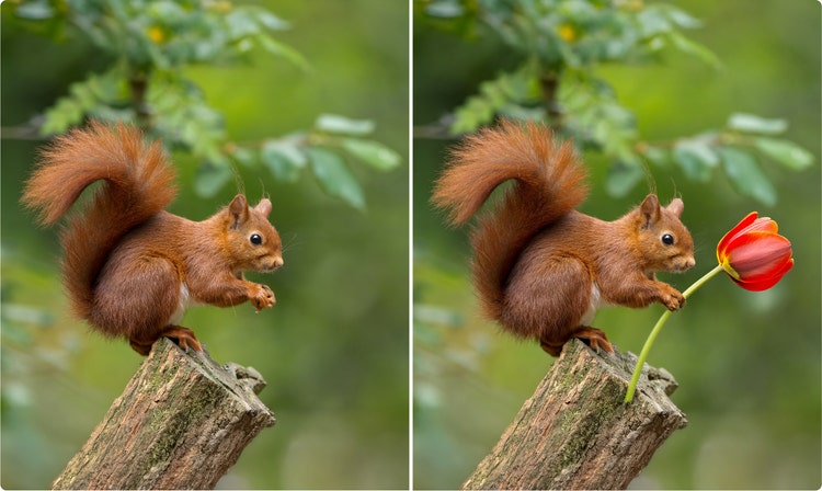 Before and after with inserted object applied