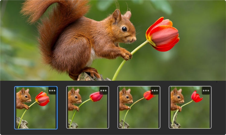 Multiple generated options shown side-by-side