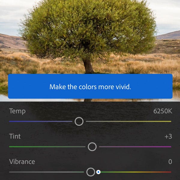 An image of a tree being edited with color temperature settings